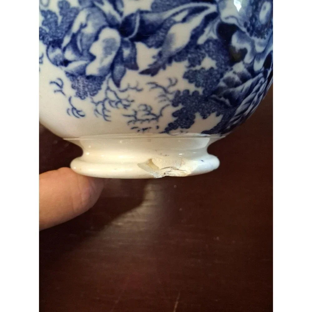 Antique 1800s Royal Bonn Germany WILDROSE Blue Transfer Ware 5